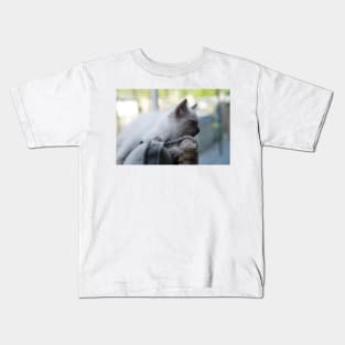 Musse the gray and white ragdoll cat Kids T-Shirt